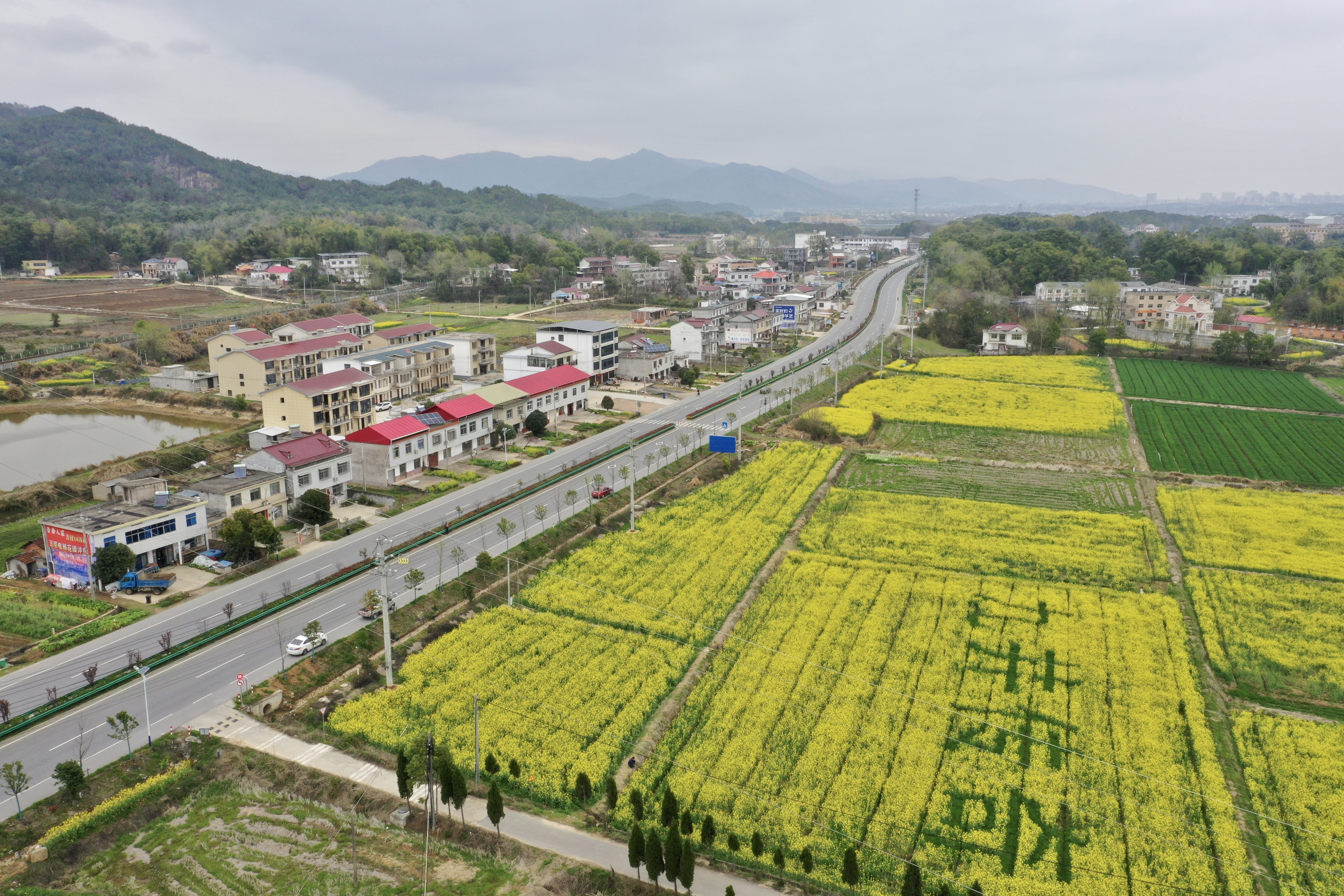 安徽太湖县城西乡图片