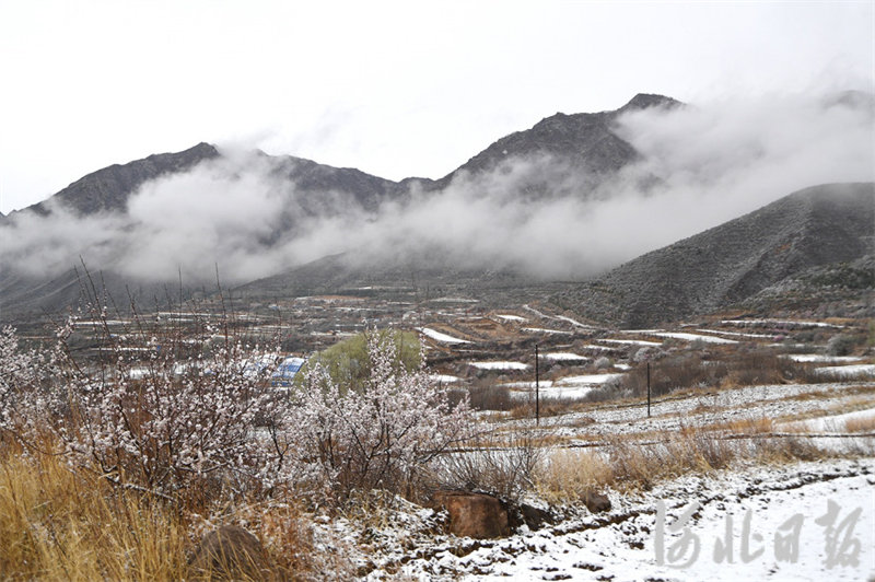 河北怀来：春雪踏青来凤凰网河北_凤凰网