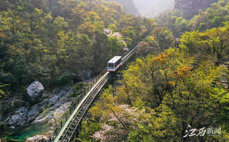 庐山天下悠（图）