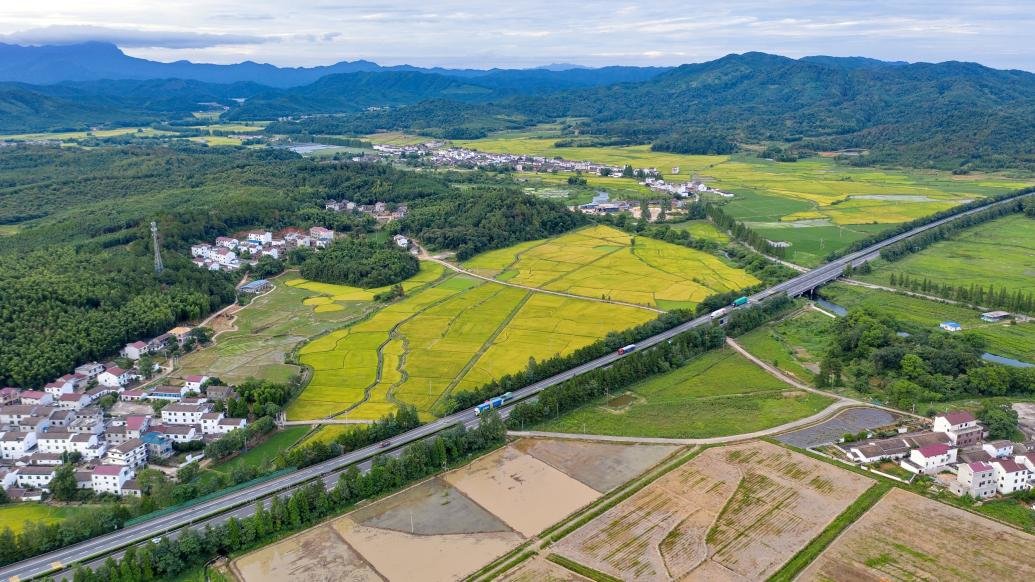 农业农村部：预计未来5-10年农业农村投资需求近15万亿元