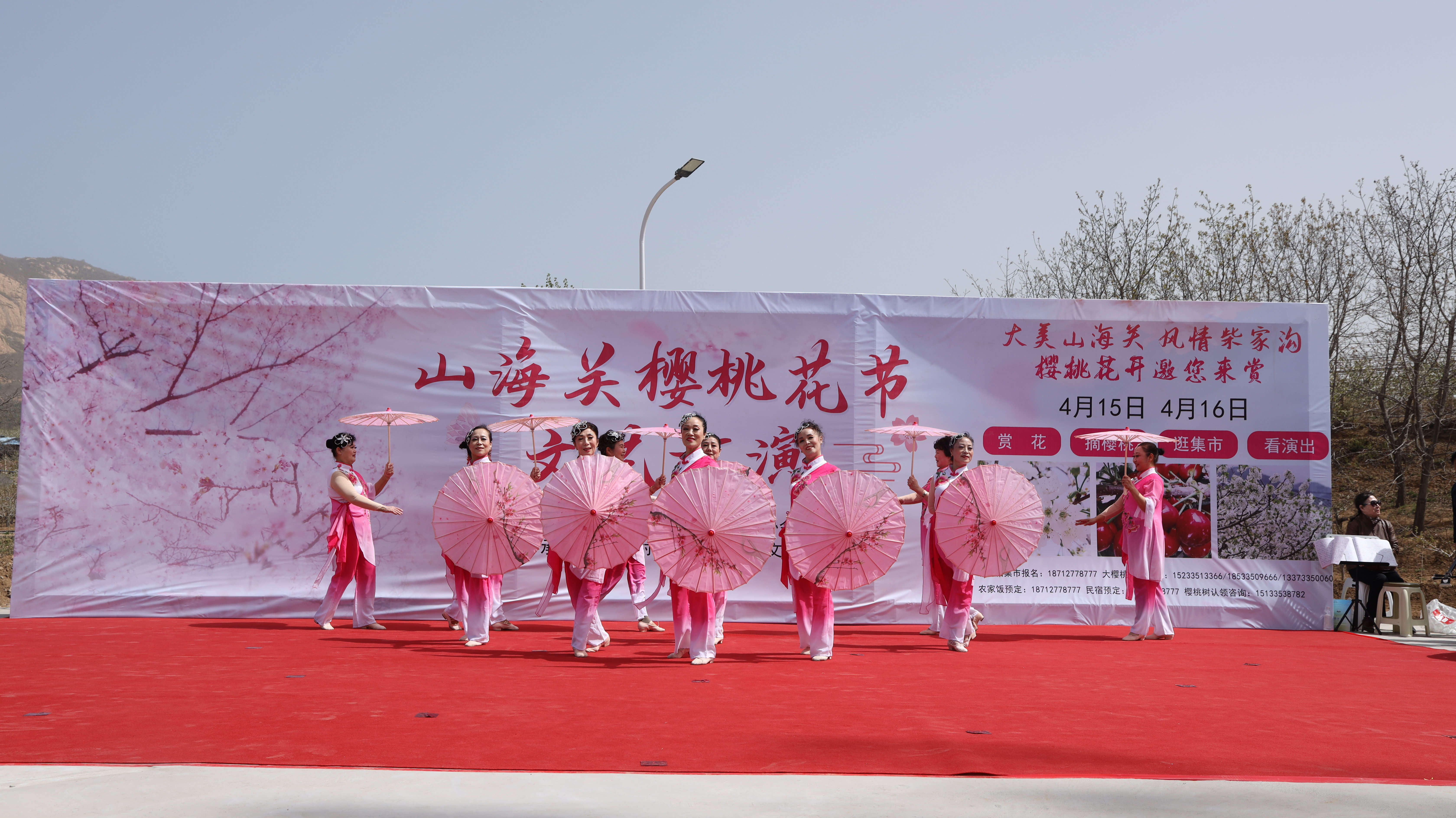 秦皇岛山海关举办首届樱桃花节暨后备箱大集