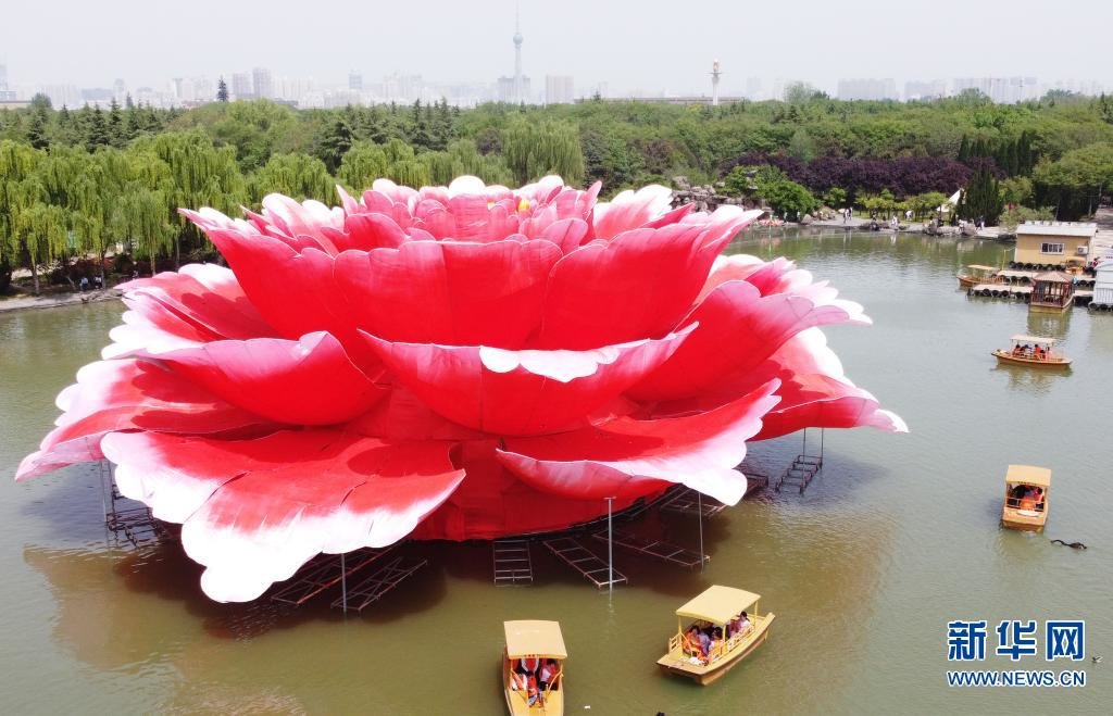 这是4月16日拍摄的洛阳市隋唐城遗址植物园巨型牡丹景观造型（无人机照片）。