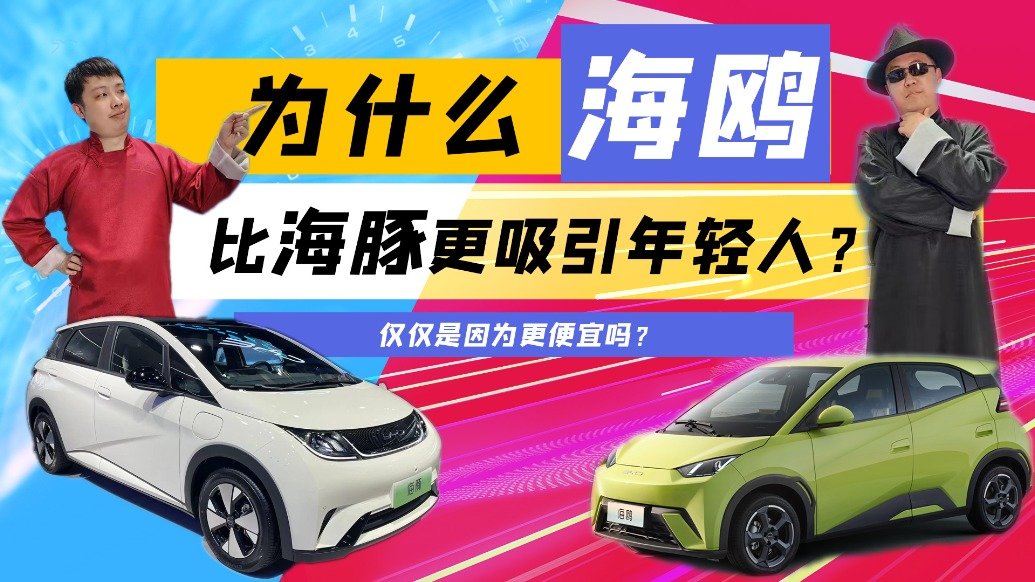 为什么海鸥比海豚更吸引年轻人，仅仅是因为更便宜？