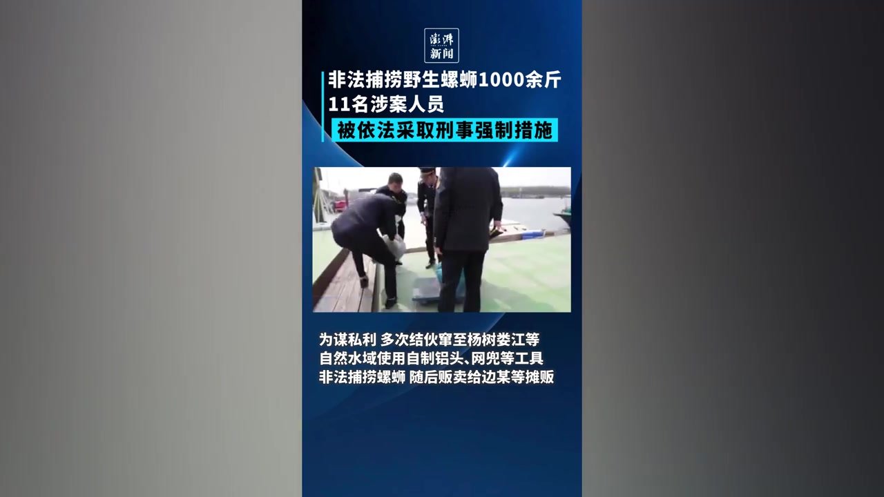 明知禁渔期还非法捕捞野生螺蛳1000余斤，11人被抓
