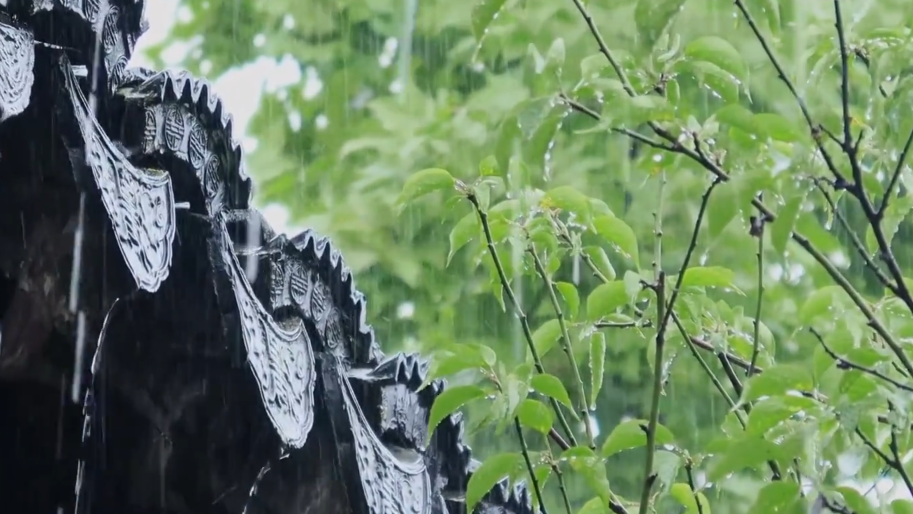 摘茶、赏花、祭仓颉，春季的最后一个节气——谷雨