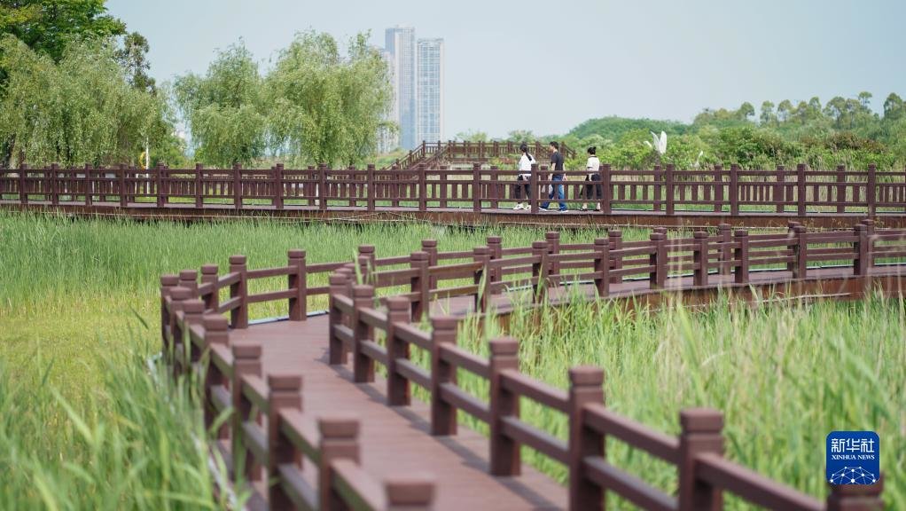 4月21日,游人在湖南松雅湖国家湿地公园赏景踏青。