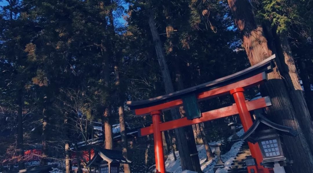 风景不输京都,美食比肩东京!这片日本最后的秘境,趁没火赶紧冲!