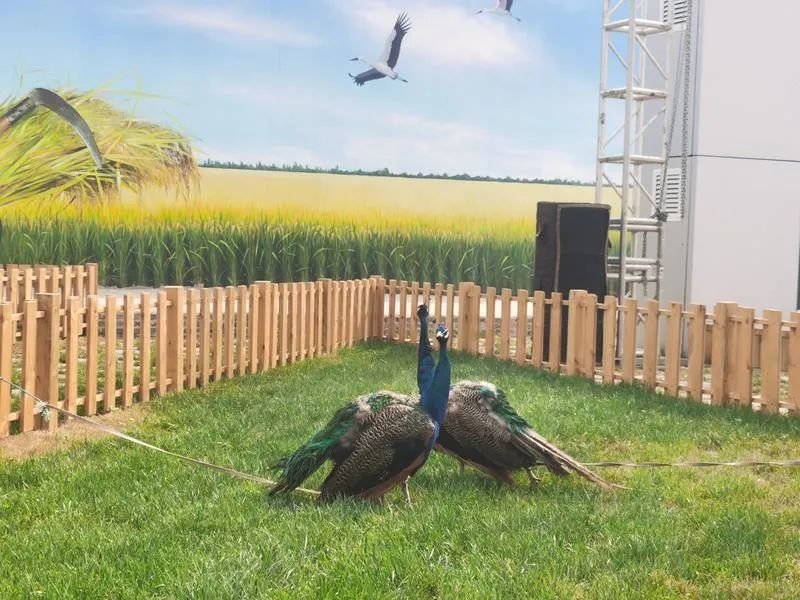 名单公布!唐山十大文化产业项目、十大特色文化产业街区、十强文化企业