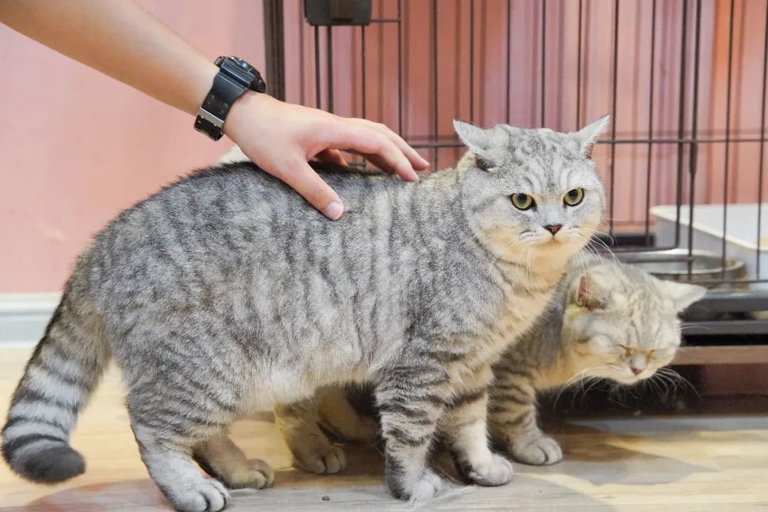 五一顺德火车头「最全打卡攻略」出炉，还有门票免费送！！！