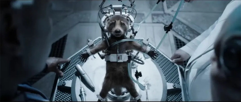 《银河护卫队3》剧照，幼年的浣熊火箭