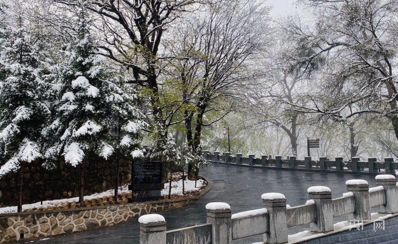 崆峒山雪景（央广网发 袁海明 摄）