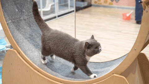 五一顺德火车头「最全打卡攻略」出炉，还有门票免费送！！！