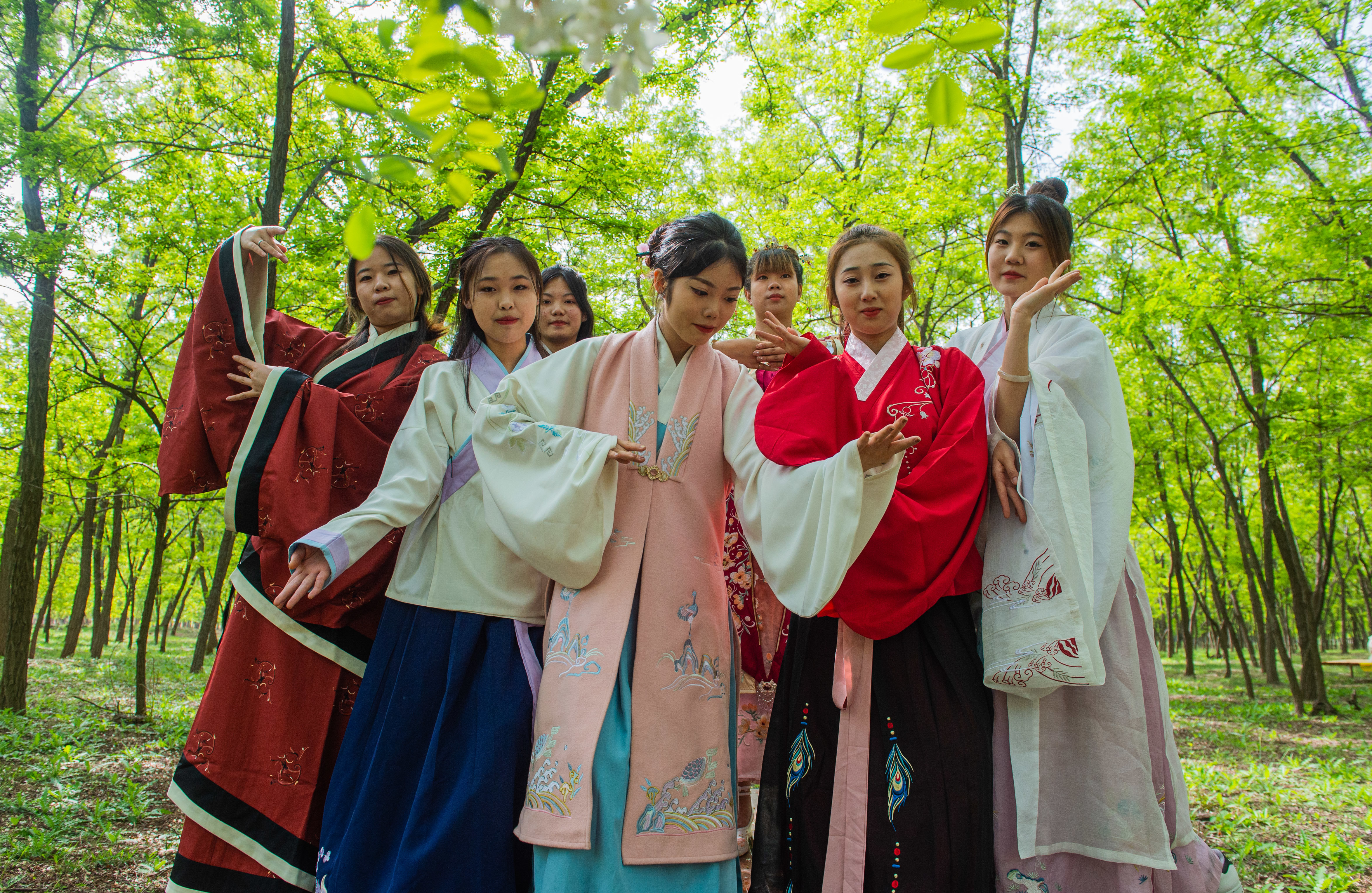 河北枣强（嘉会）首届槐花旅游节火热开幕