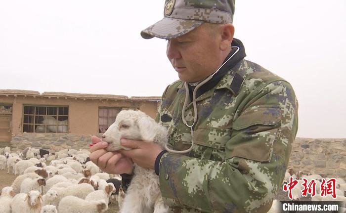 草原上的“守护者”：多治一只羊，牧民生活就多一份保障