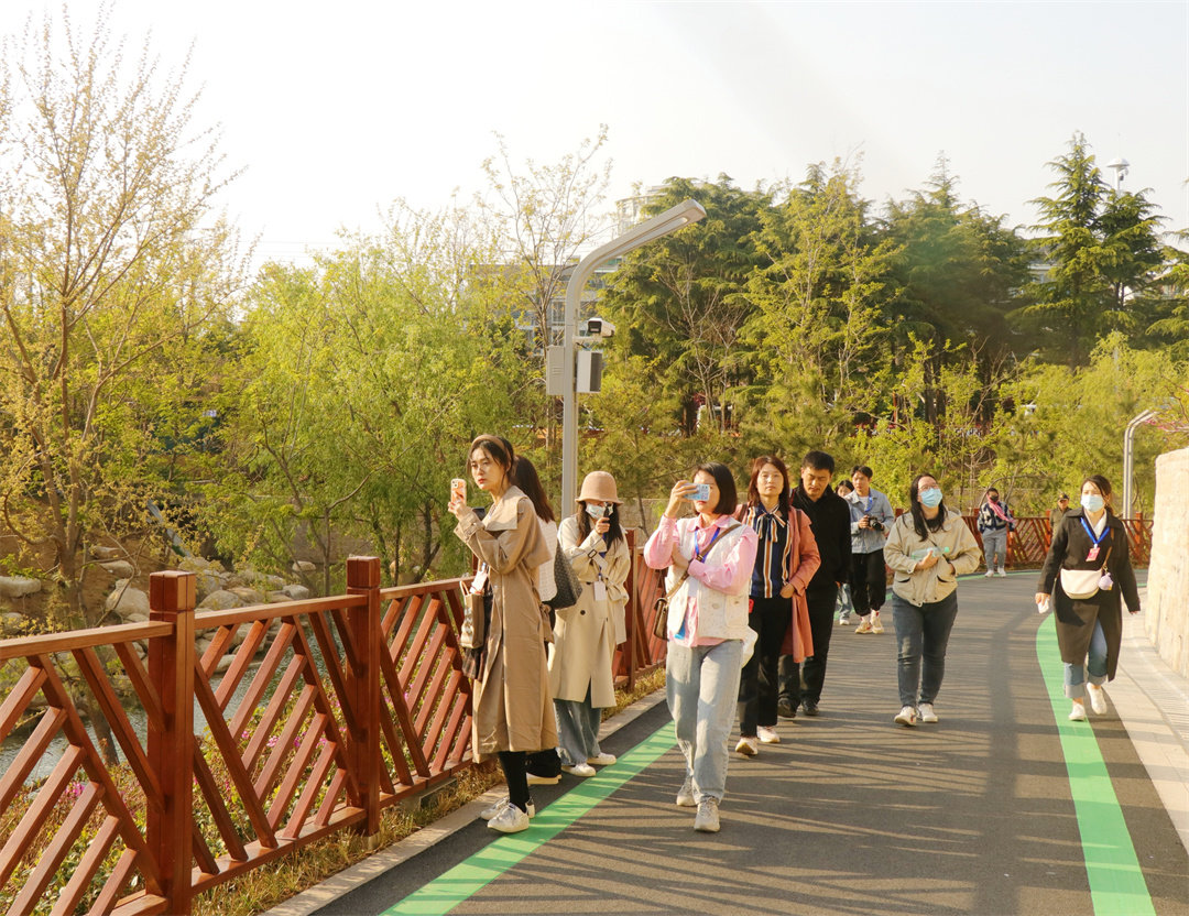 见证青岛丨绣好“城市绿肺”风景线 青岛公园城市建设再添彩
