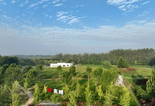 “五一”假期来菏泽，能去哪玩？我们整理好了！