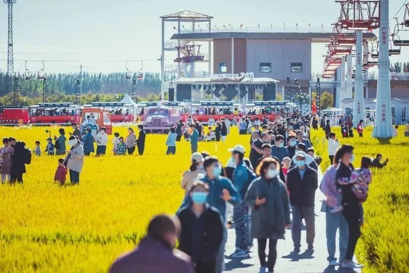 名单公布!唐山十大文化产业项目、十大特色文化产业街区、十强文化企业