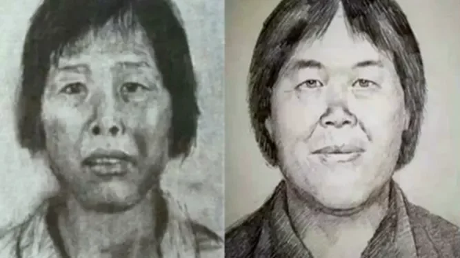 “梅姨”案经办单位：若外地警方抓获会告知，目前没落网信息_凤凰网视频_凤凰网