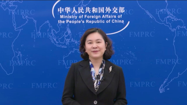 华春莹：麻栗坡古树茶进入“国礼目录”，已赠联合国安理会成员