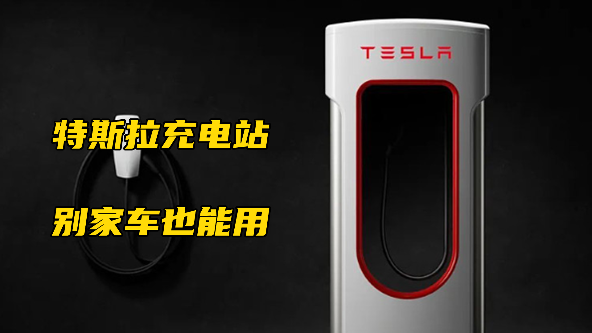 50 个充电位 特斯拉在香港建亚洲最大充电站-新出行
