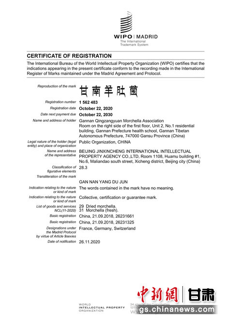 甘肃多措保护“无形财产” 新授权专利近2500件