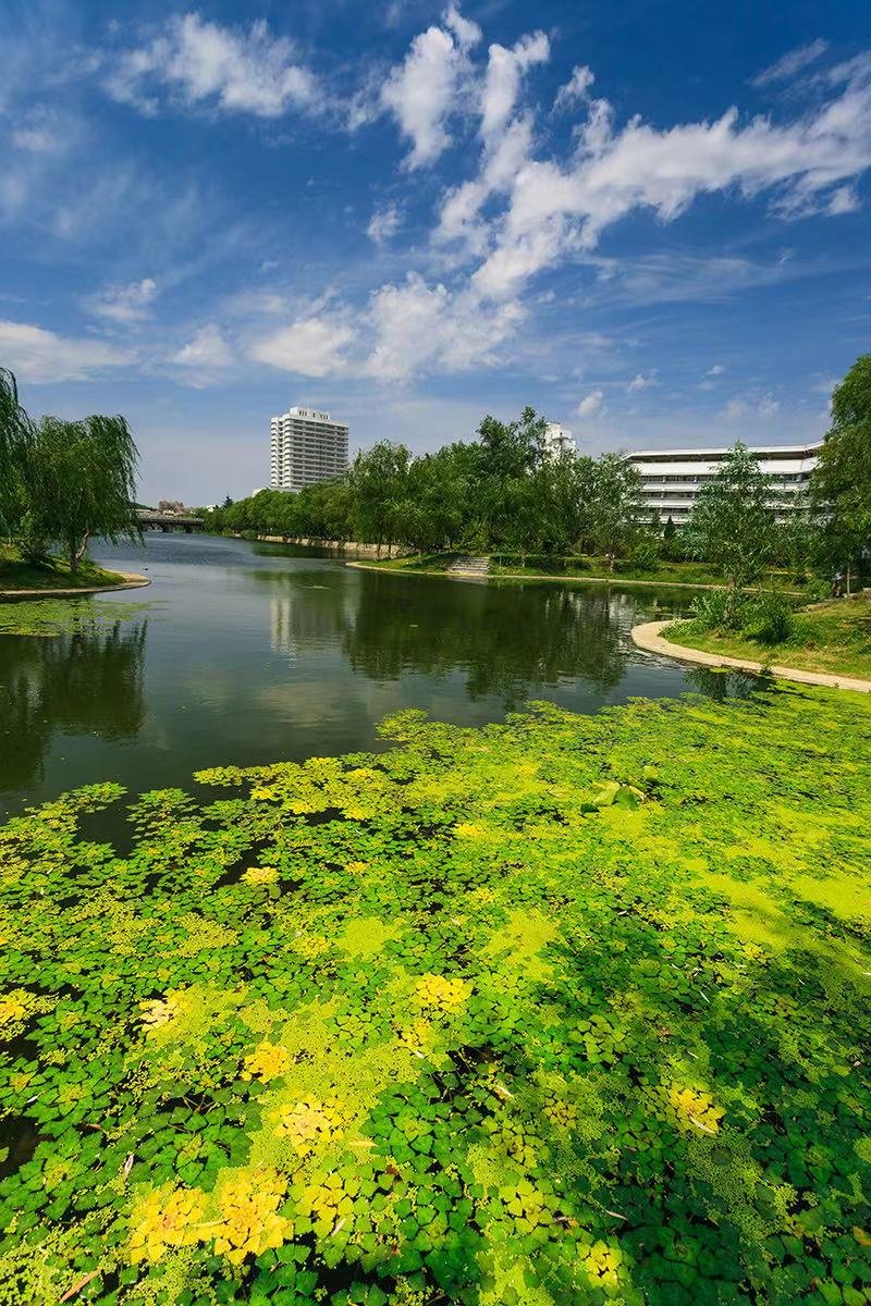 读享彭城 | 江苏师范大学的春暖花开日，正是读书时