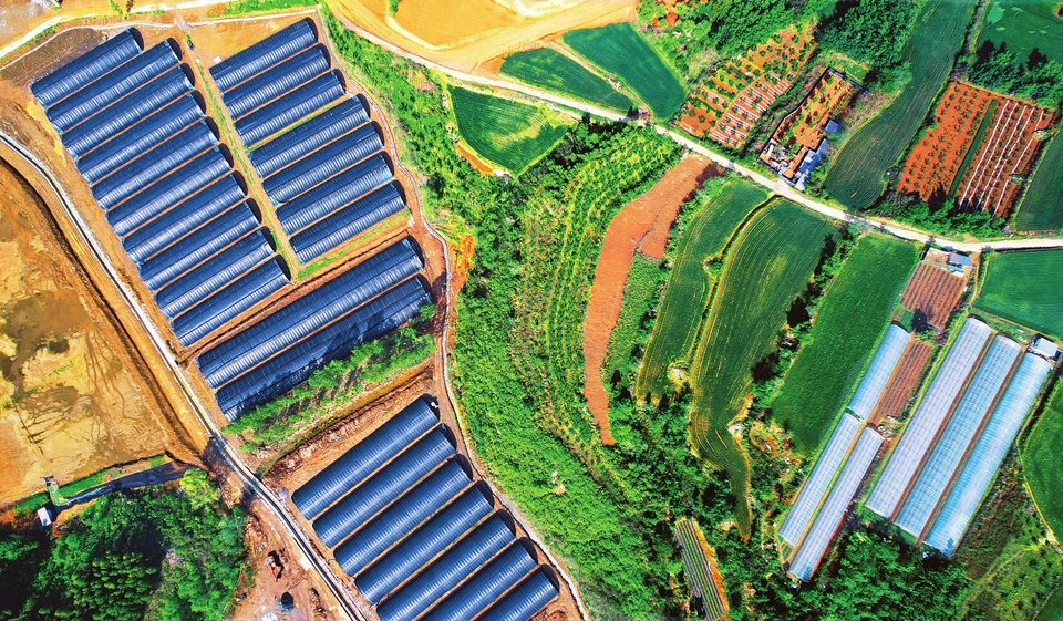 校企合作 助农致富