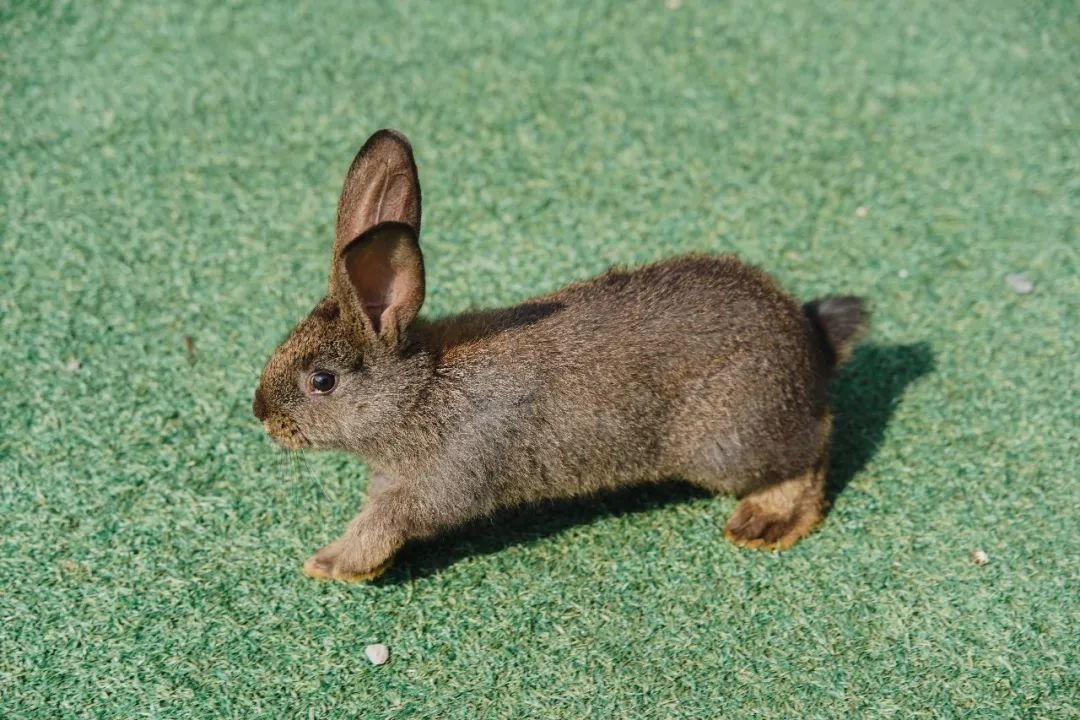 五一顺德火车头「最全打卡攻略」出炉，还有门票免费送！！！