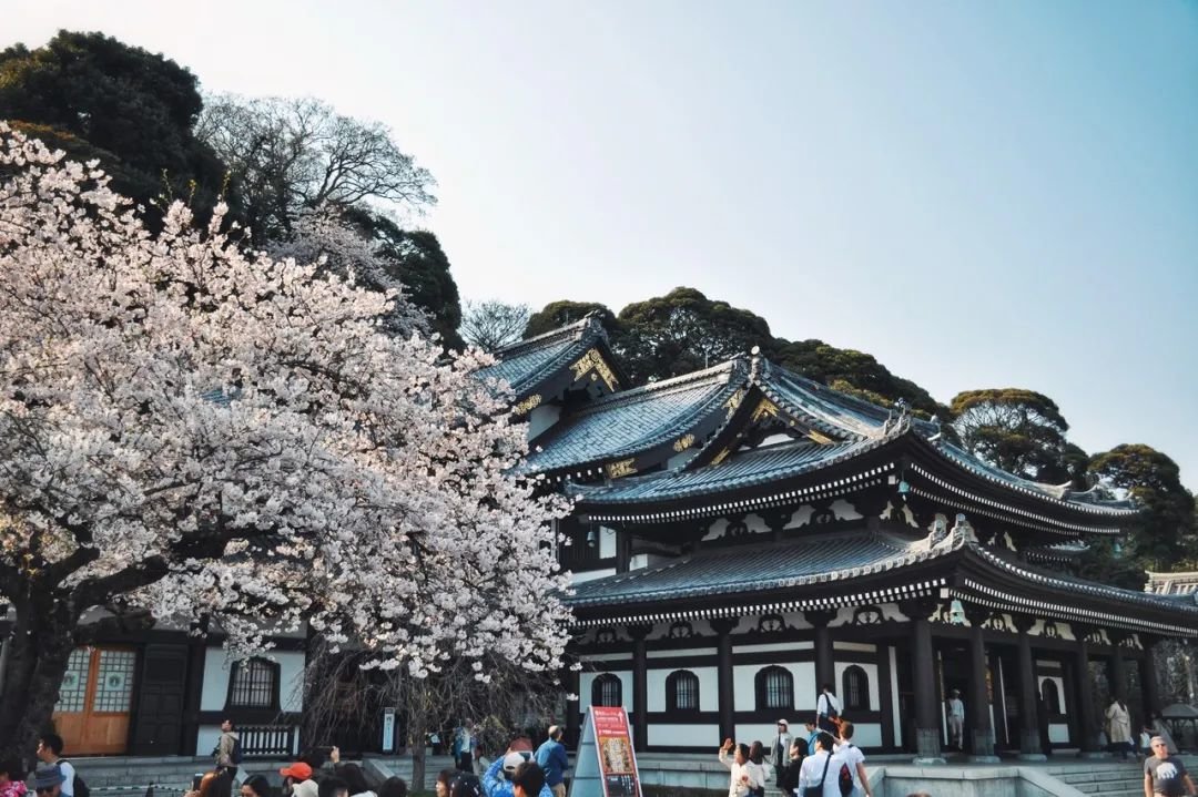 @图虫创意