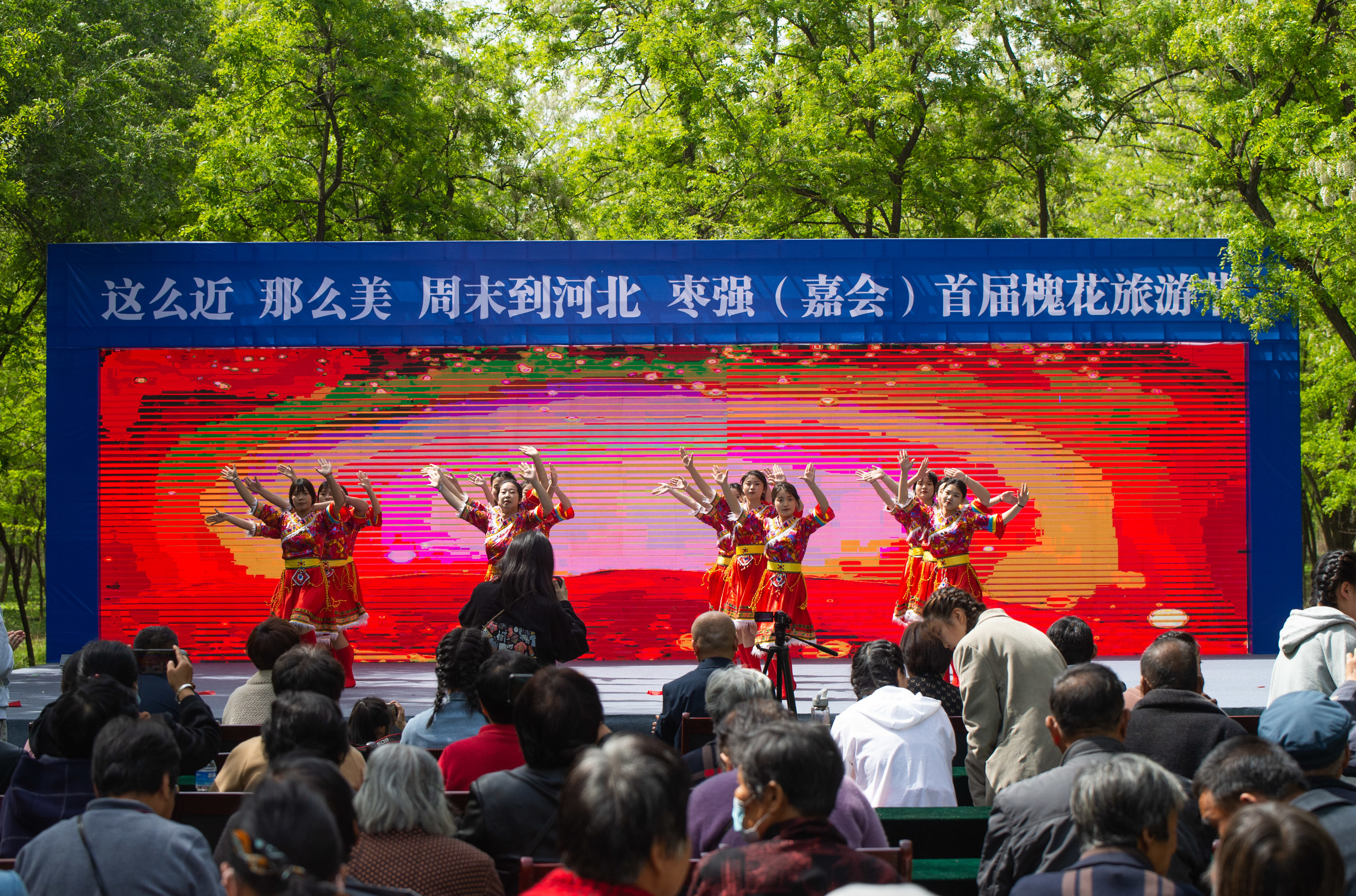 河北枣强（嘉会）首届槐花旅游节火热开幕