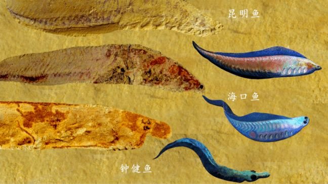 我为书狂丨科普作家汪诘：大量阅读，把科学讲给老百姓听_凤凰网