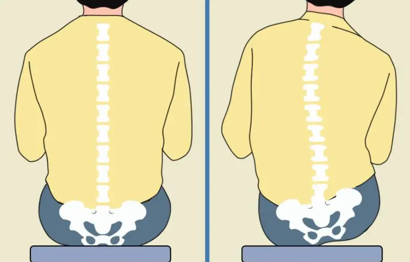 坐姿矫正椅怎么代理千元人体工学椅冲不动？这款百元不到的护腰正姿坐垫赢麻了_https://www.jmylbn.com_新闻资讯_第7张