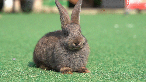 五一顺德火车头「最全打卡攻略」出炉，还有门票免费送！！！