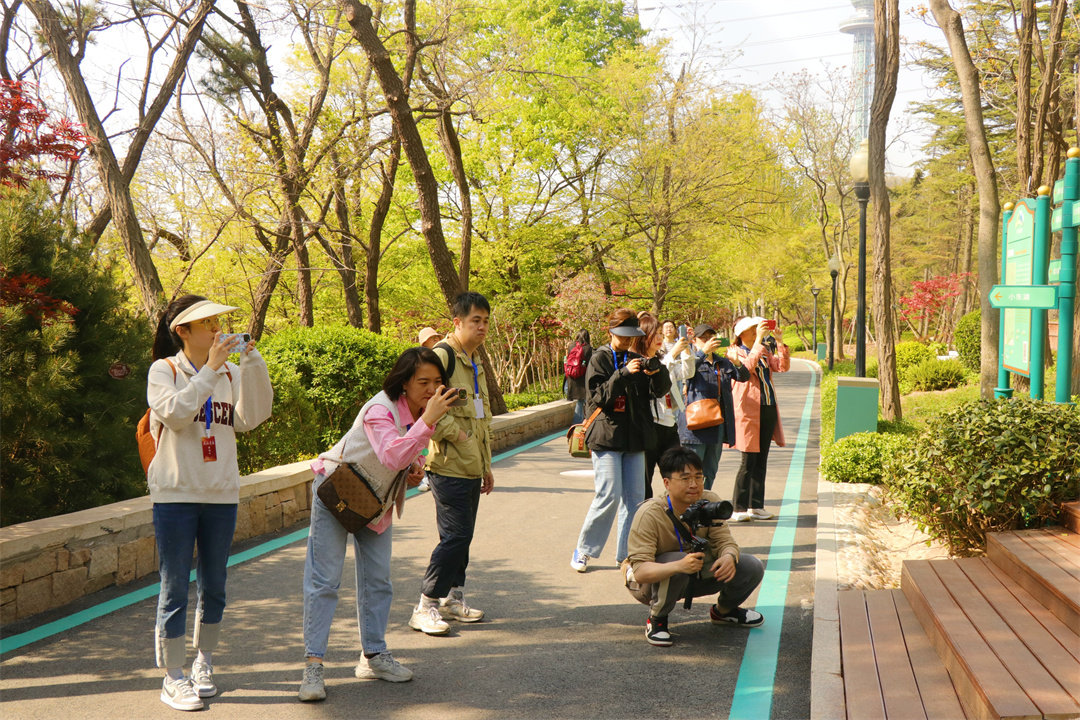 见证青岛丨绣好“城市绿肺”风景线 青岛公园城市建设再添彩