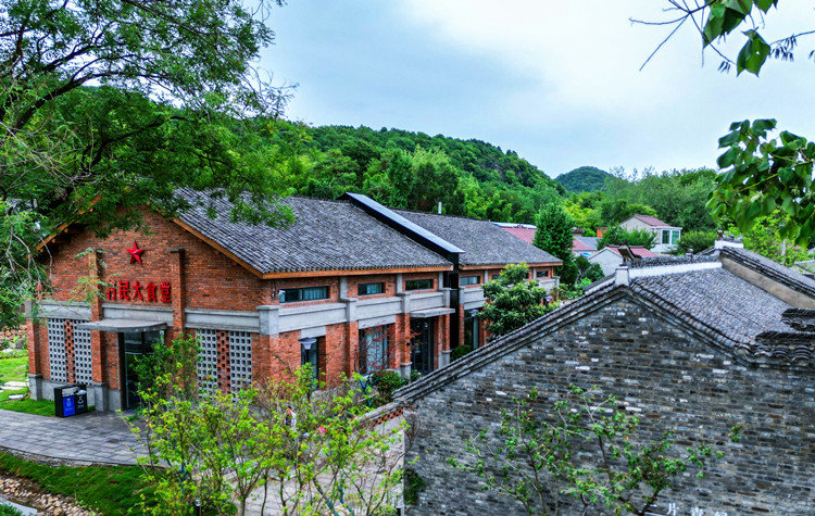 善厚镇凤台村新庄局部图