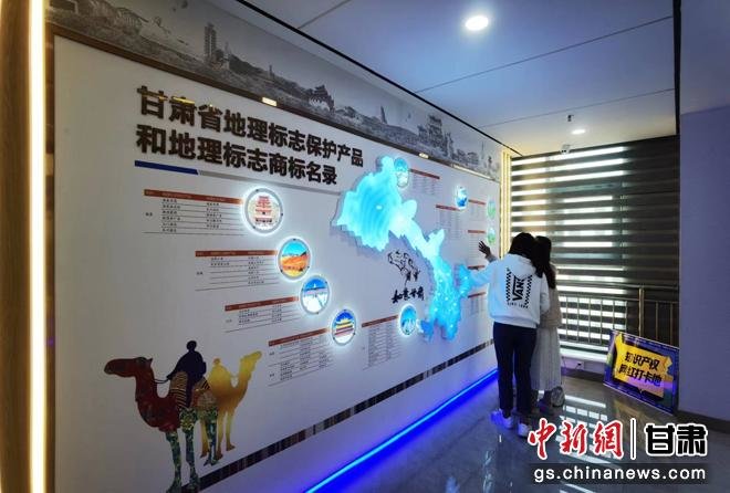 甘肃多措保护“无形财产” 新授权专利近2500件