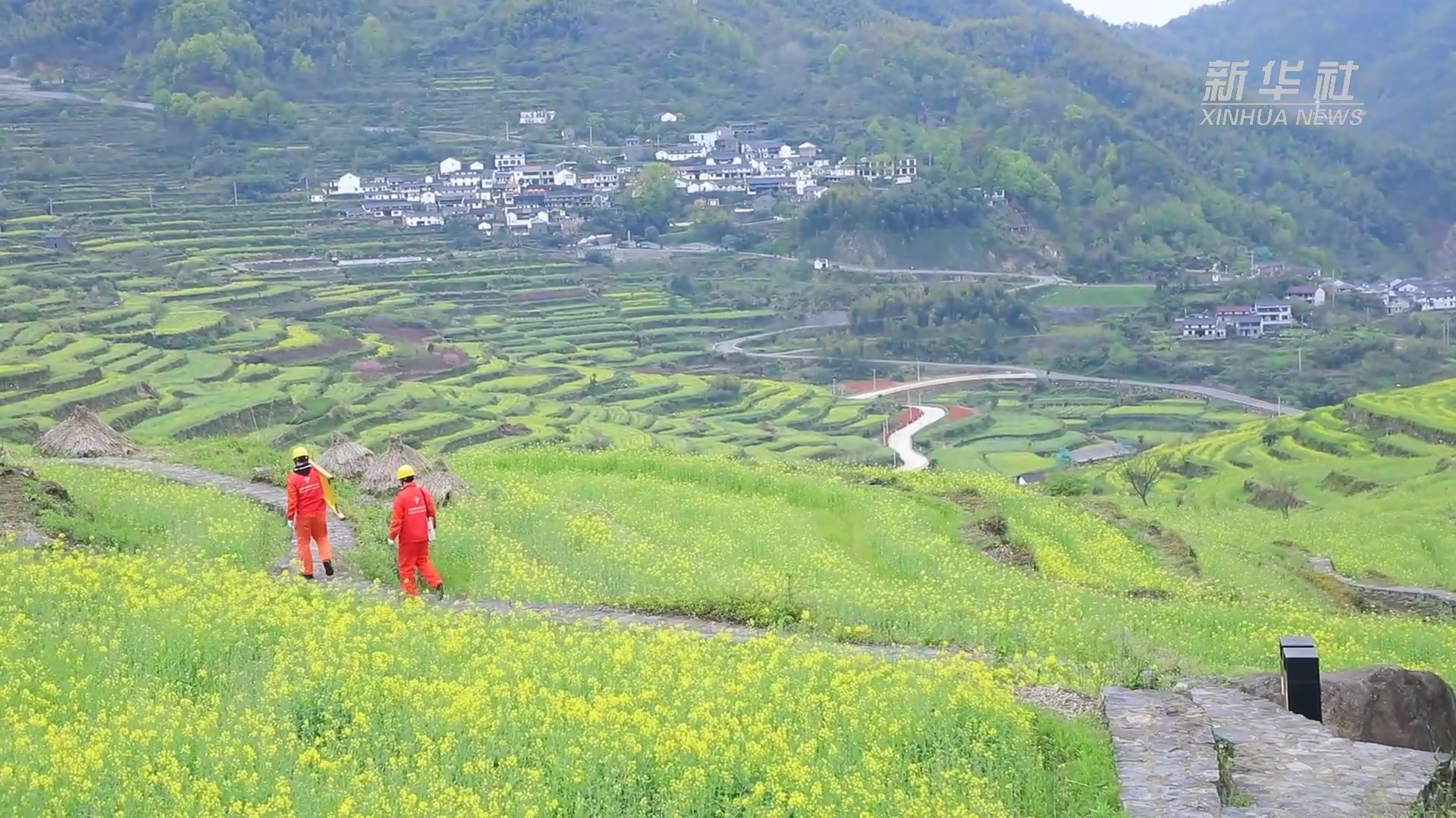 浙江绍兴：点亮乡村游