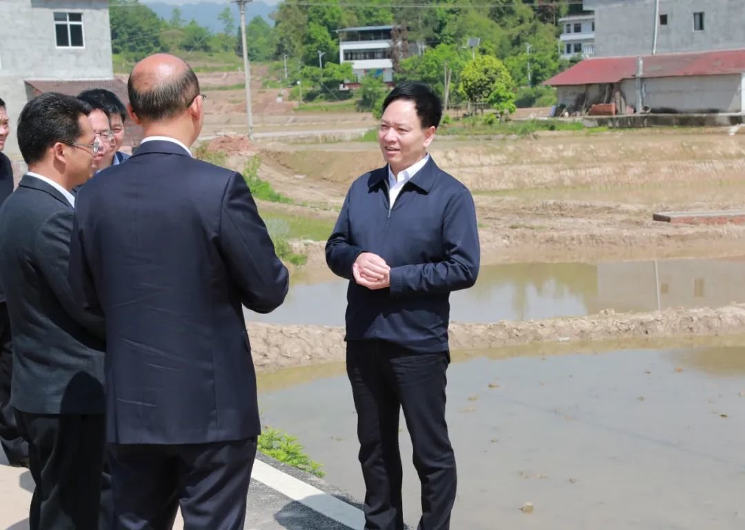 梁平区委书记钱建超加快培育农村电子商务主体推动农业接二连三