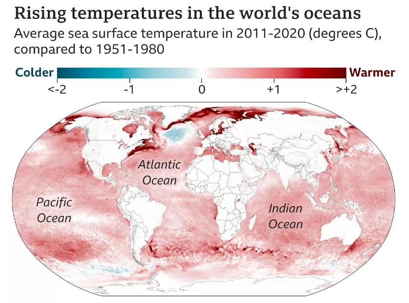 全球海洋近期迅速升温，科学家震惊