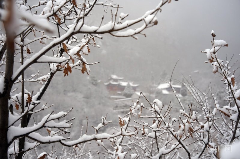 崆峒山雪景（央广网发 王璐 摄）