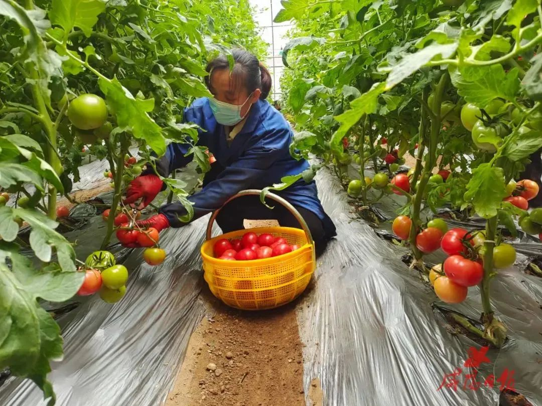 把准脉 下准药 治准病—泾阳县地下水超采综合治理成效显著