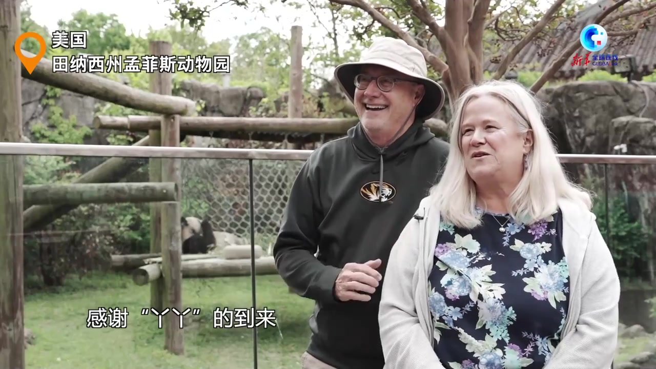 旅美大熊猫“丫丫”已踏上回国旅程