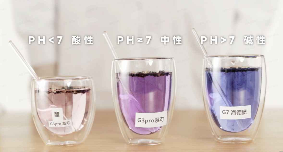 消费者所不知道的碧云泉工厂内幕：博主现场解密一切！
