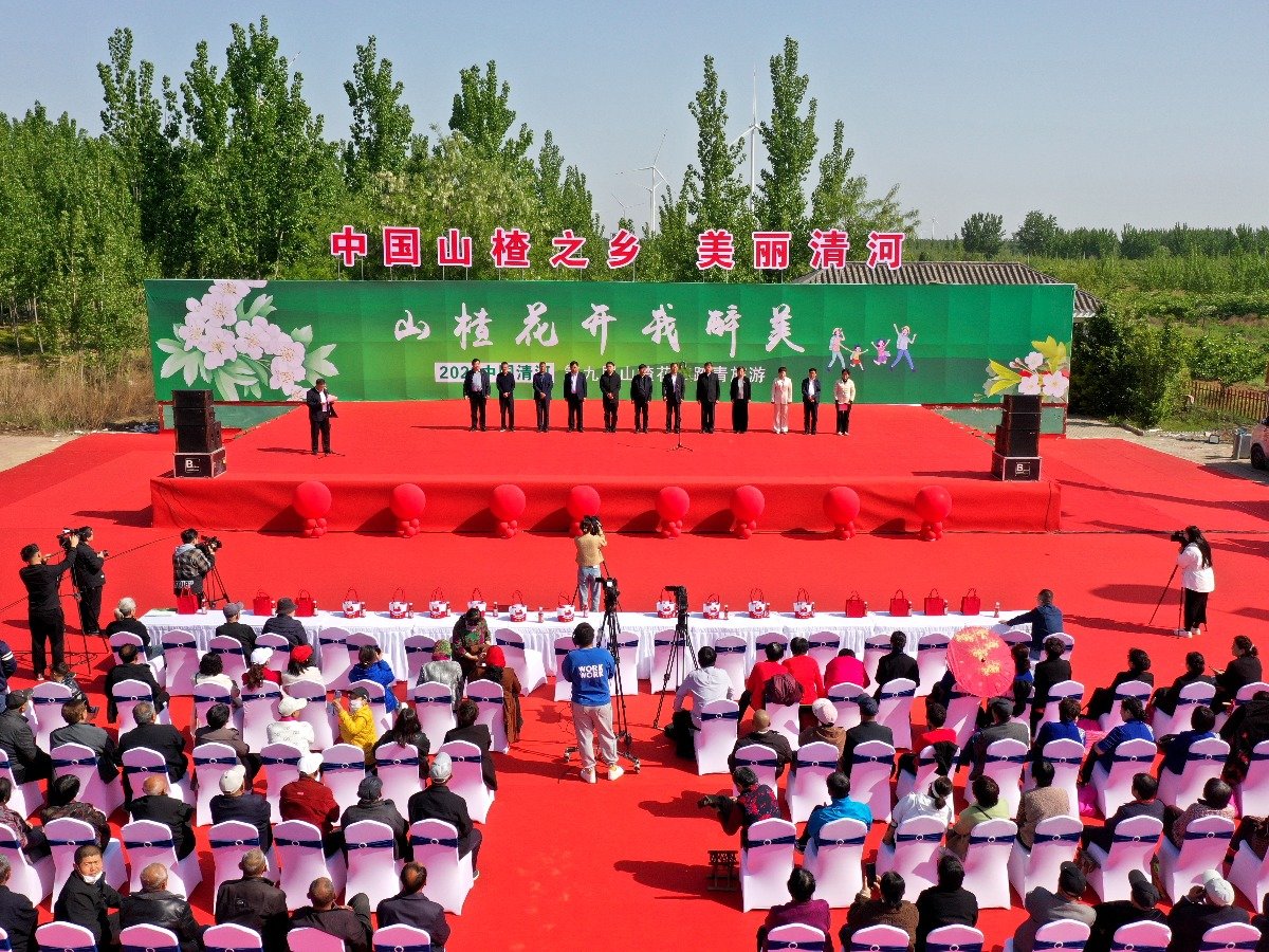 河北：这么近那么美，五一假期去清河赏万亩山楂花海