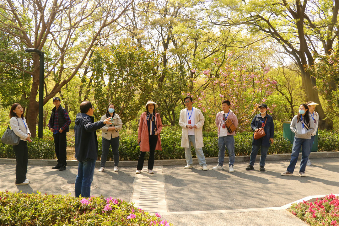见证青岛丨绣好“城市绿肺”风景线 青岛公园城市建设再添彩