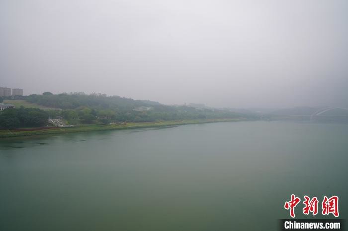 邕江两岸植被葱郁。　王以照 摄