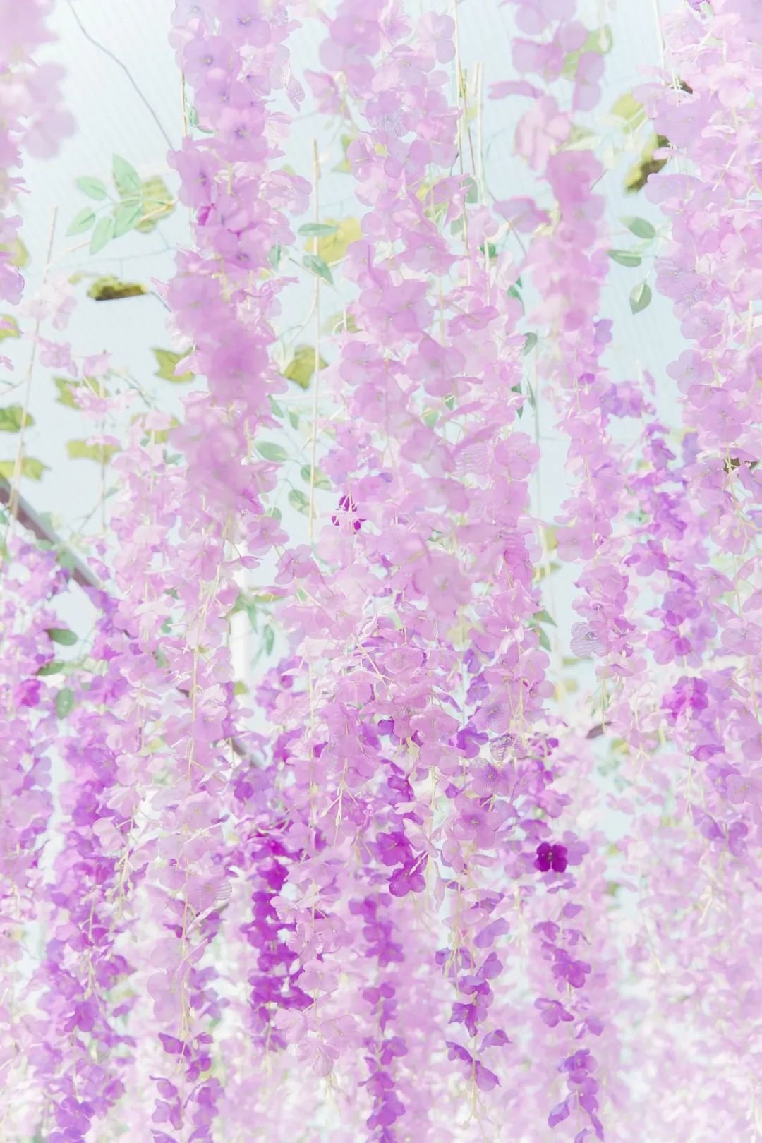 五一顺德火车头「最全打卡攻略」出炉，还有门票免费送！！！