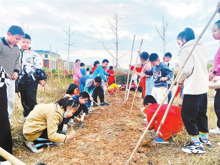 宁都县易堂学校老师带领学生体验田间劳作。