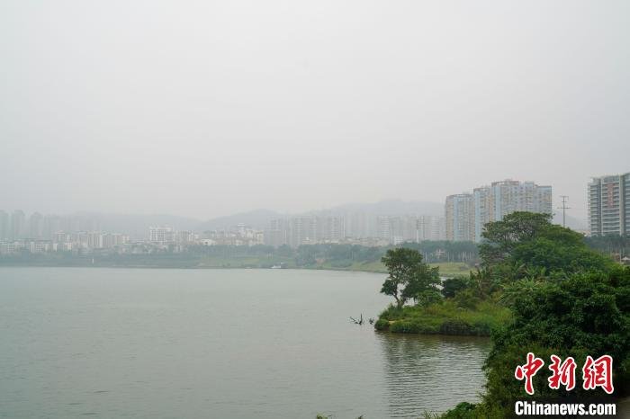 邕江两岸植被葱郁，河流清澈。　王以照 摄