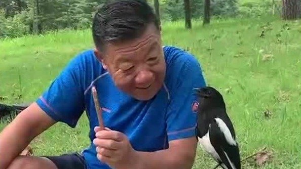 一人一鹊一段奇缘，张新智用直播的方式记录下他和“花花”的日常
